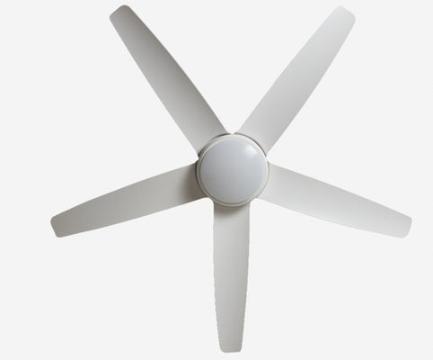 ECO 팬 56 인치 LED 현대 LED 천장 팬 DC 모터 홈 사용